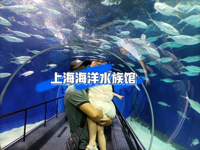 上海海洋水族馆攻略_上海海洋水族馆票价多少元