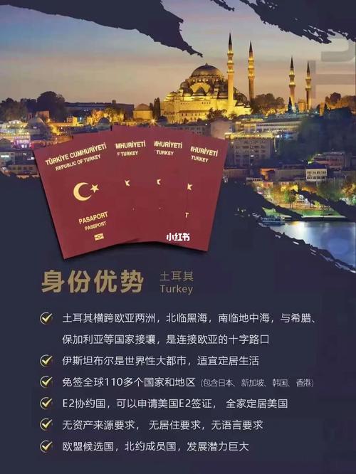 去土耳其免签吗-中国去土耳其免签吗